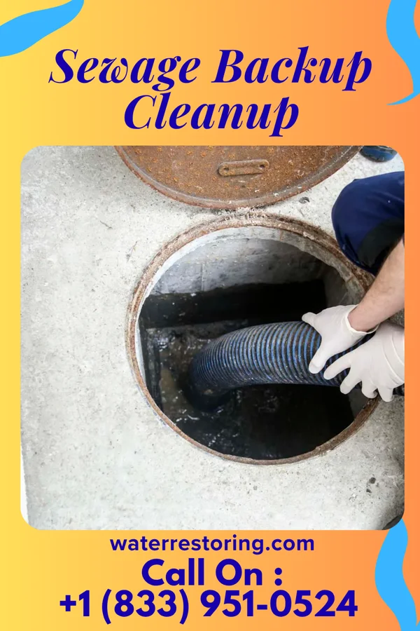 Sewage Backup Cleanup in Merrimac, WI
