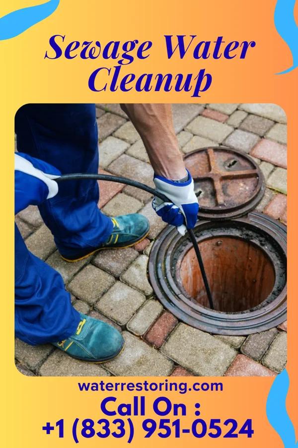 Sewage Water Cleanup in Merrimac, WI