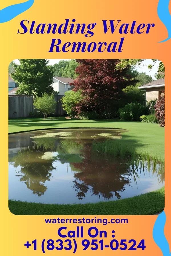 Standing Water Removal in Merrimac, WI